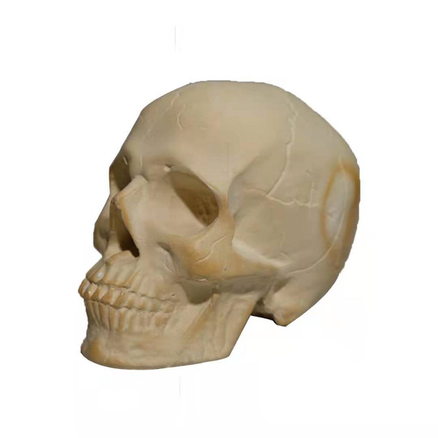 Skull BBQ Fire Ornament – American Style Resin Decoration for Halloween 7