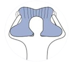 Alt Image